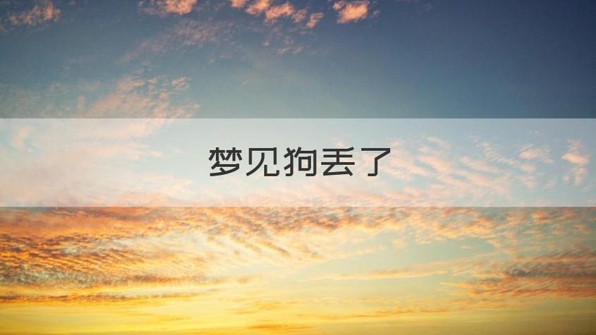梦见把狗丢了是什么意思