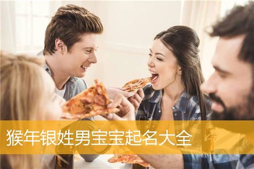 银姓猴年男宝宝名字