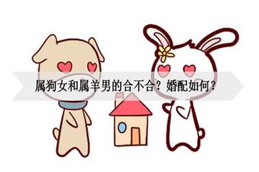 属狗男和属羊女婚配好吗
