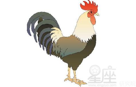1993年属鸡注定坎坷是真的吗