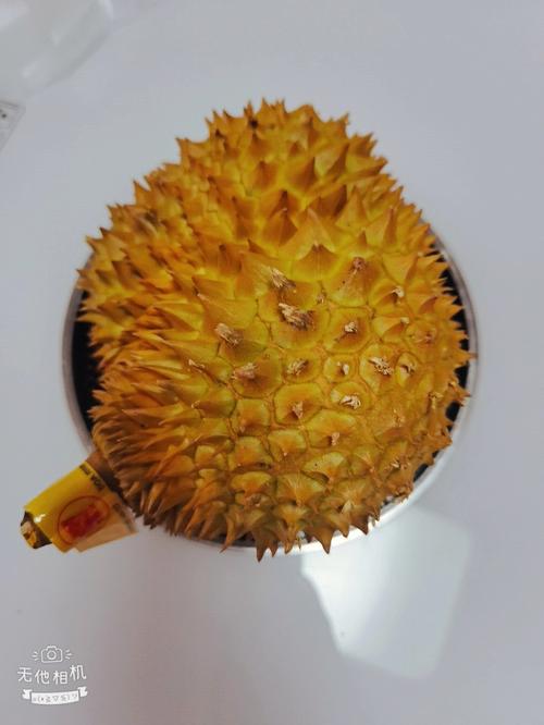 梦见买榴莲有什么征兆