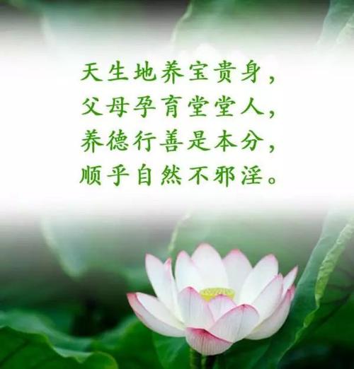 梦见女人诵经