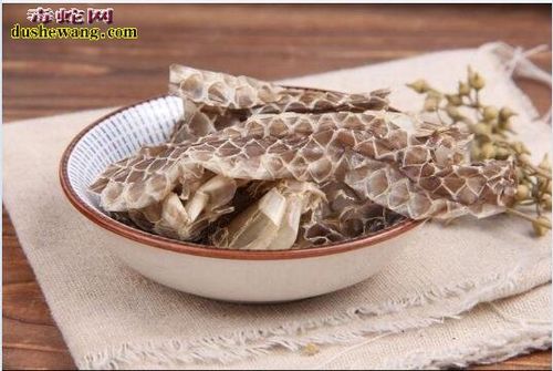 女人梦到蛇皮什么意思