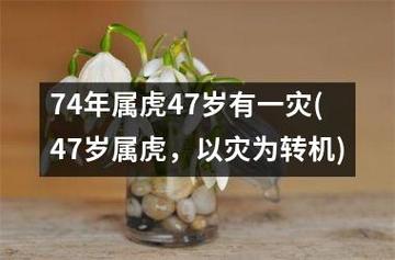 属虎人的灾难年龄是哪几年