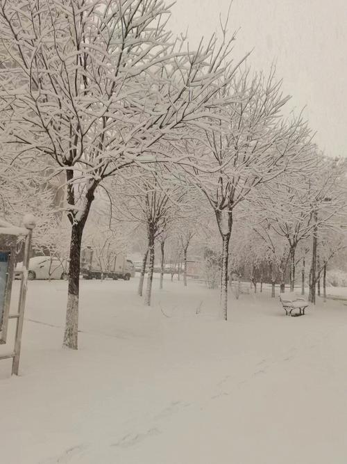 梦见下雪桃花开,桃花位在正北方向