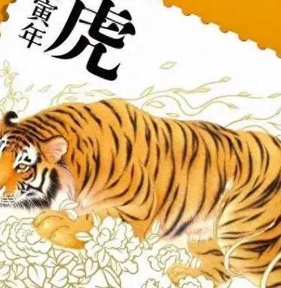 今天虎人运气好不好