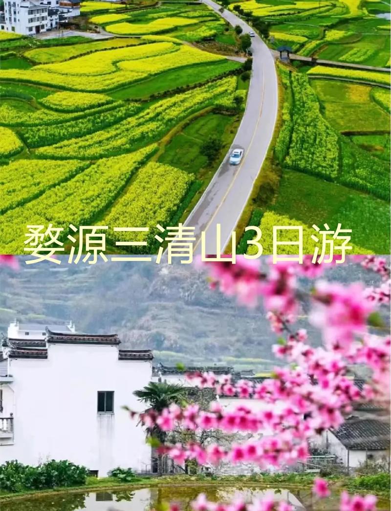 梦见好多山