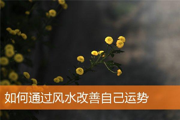 增加人缘从改善家里风水开始