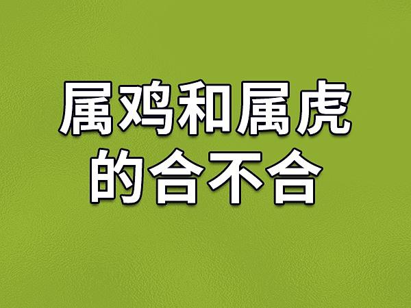 属虎和属鸡的合不合