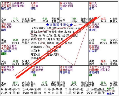 天府星,紫微斗数之天府星详解
