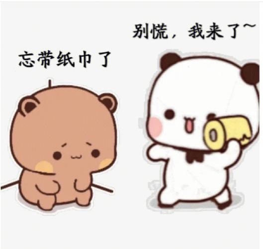 梦见上厕所没带纸的寓意