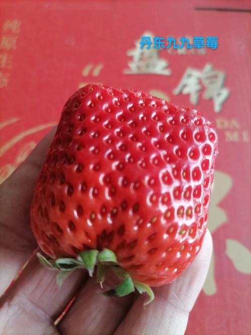 一掷千金!这些生肖能做到如此的壕