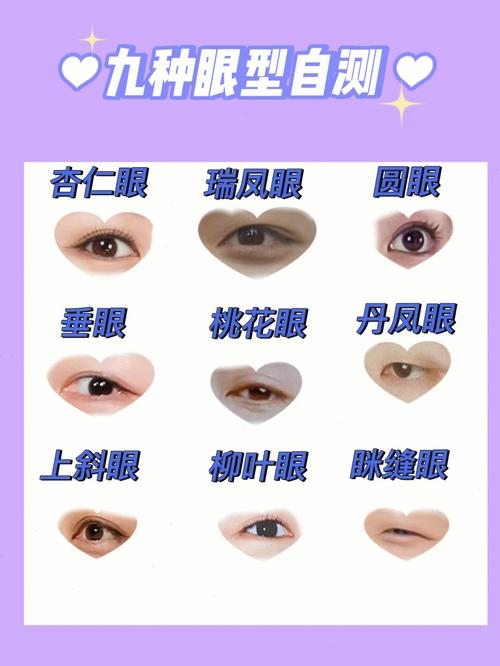 易学杂谈:带你来认识各种眼型