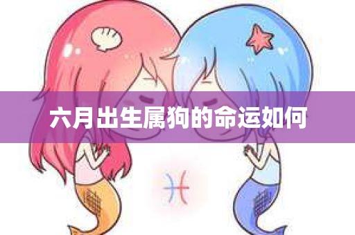 属狗六月运程