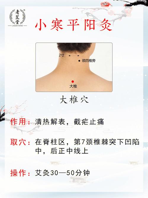小寒节气养生要点