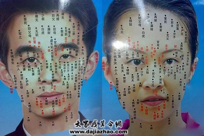 面相大占卜之面型