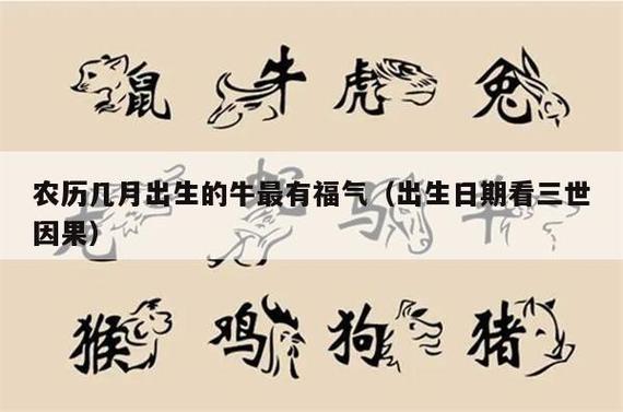 属牛的几点出生有福气