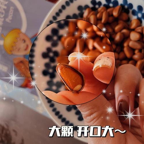 梦见松子,很多的松子