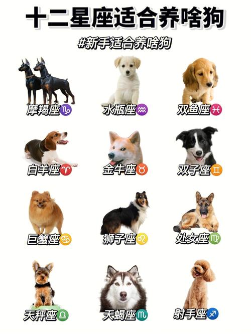 双鱼座最适合养什么宠物?