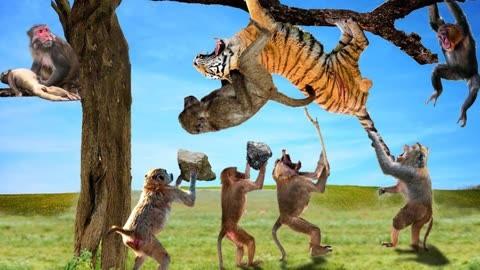 老虎为什么最怕猴子