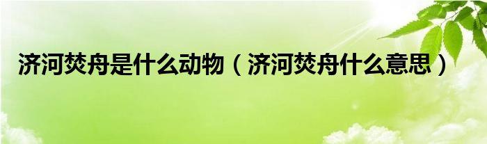 济河焚舟是什么生肖