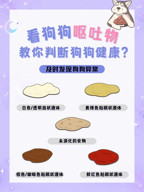梦见禁食怎么回事