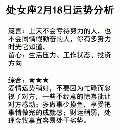 处女座在2018年制定了什么目标