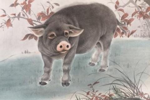 什么生肖过得衣食无忧