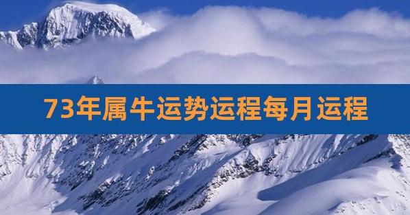 属牛的每月运势