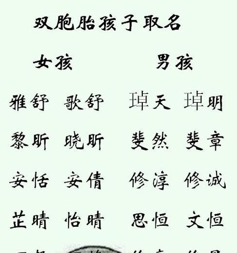 成语中好听的双胞胎男孩名字有哪些