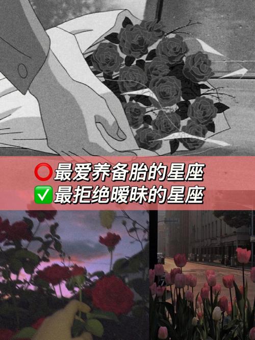 喜欢存备胎的星座