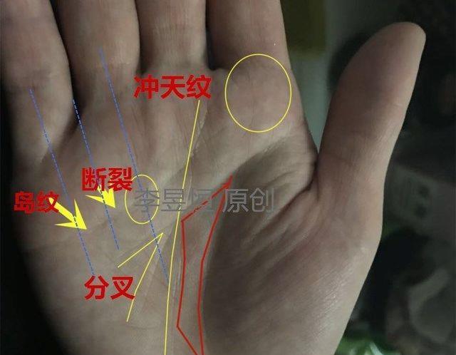 天纹杂乱的人都很好色是为什么