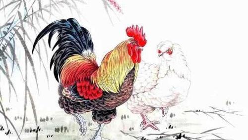 生肖鸡:属鸡人的五行是怎样的?
