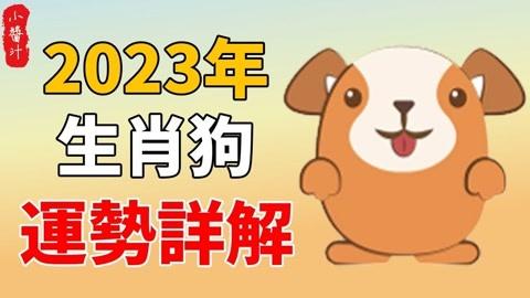 70年属狗50岁婚姻运势如何