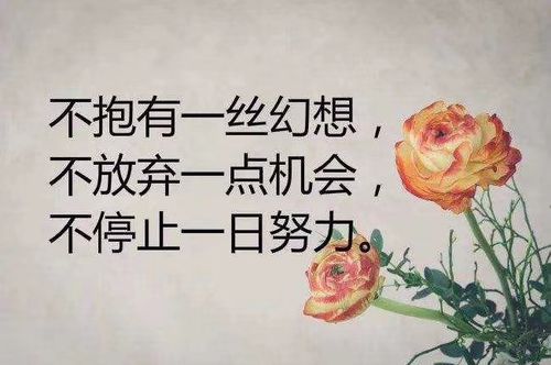 从下个月开始,我会努力工作,迎接花开的结果,想要成功。