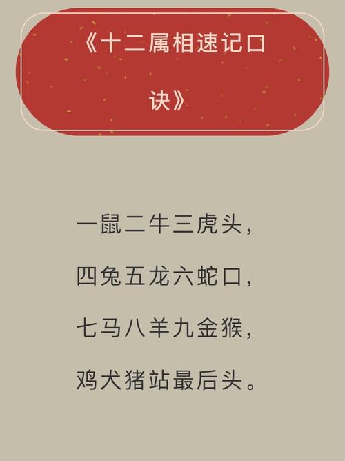开心最重要,12月12生肖开心运如何
