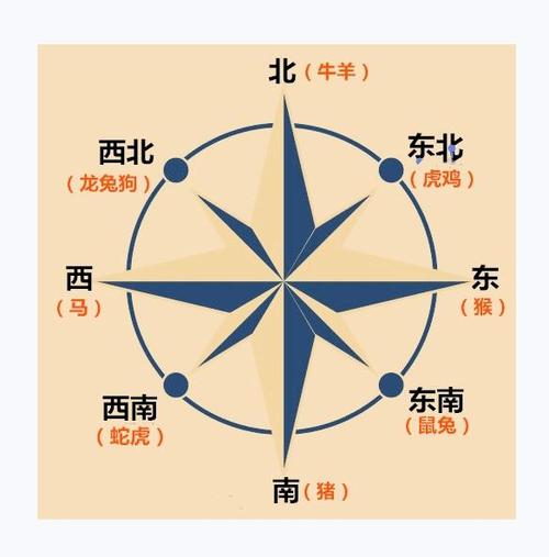 十二生肖穿鞋风水,十二生肖风水学