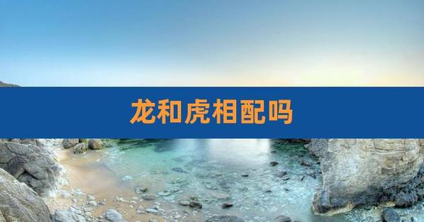男虎女龙千万别在一起