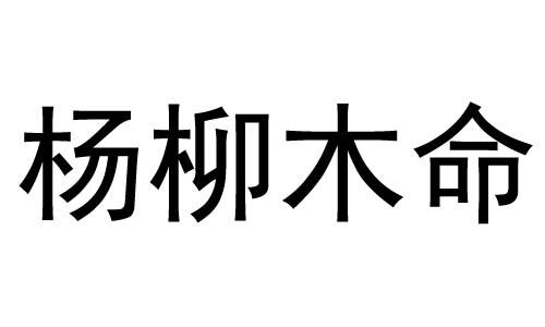 杨柳木命是什么意思