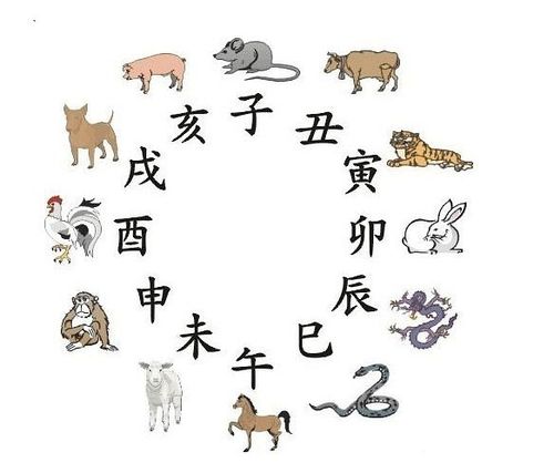 土生肖有哪几个