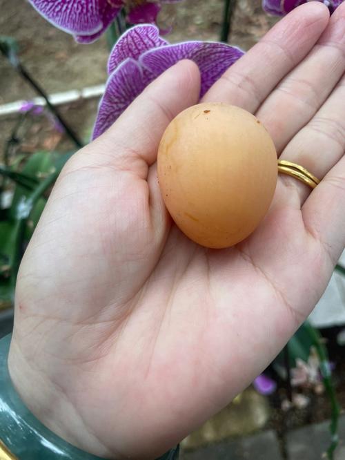 孕妇梦见爬山捡鸡蛋好不好