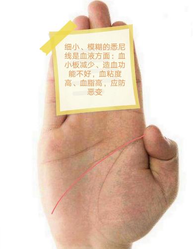 智慧线延伸到手掌边的人过度自信,难免会招来失败