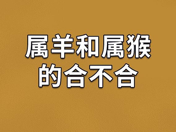 男属猴的和女属羊能过一辈子吗