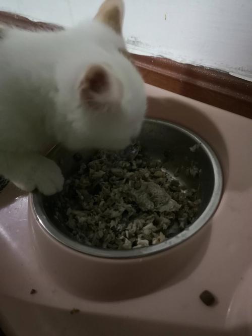 梦见吃鱼好多鱼刺有什么征兆