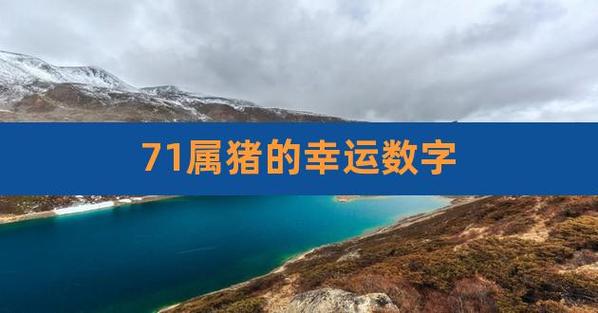 属猪人永久吉利的数字盘点