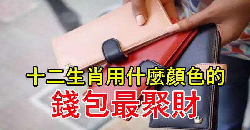 属龙什么颜色的钱包聚财