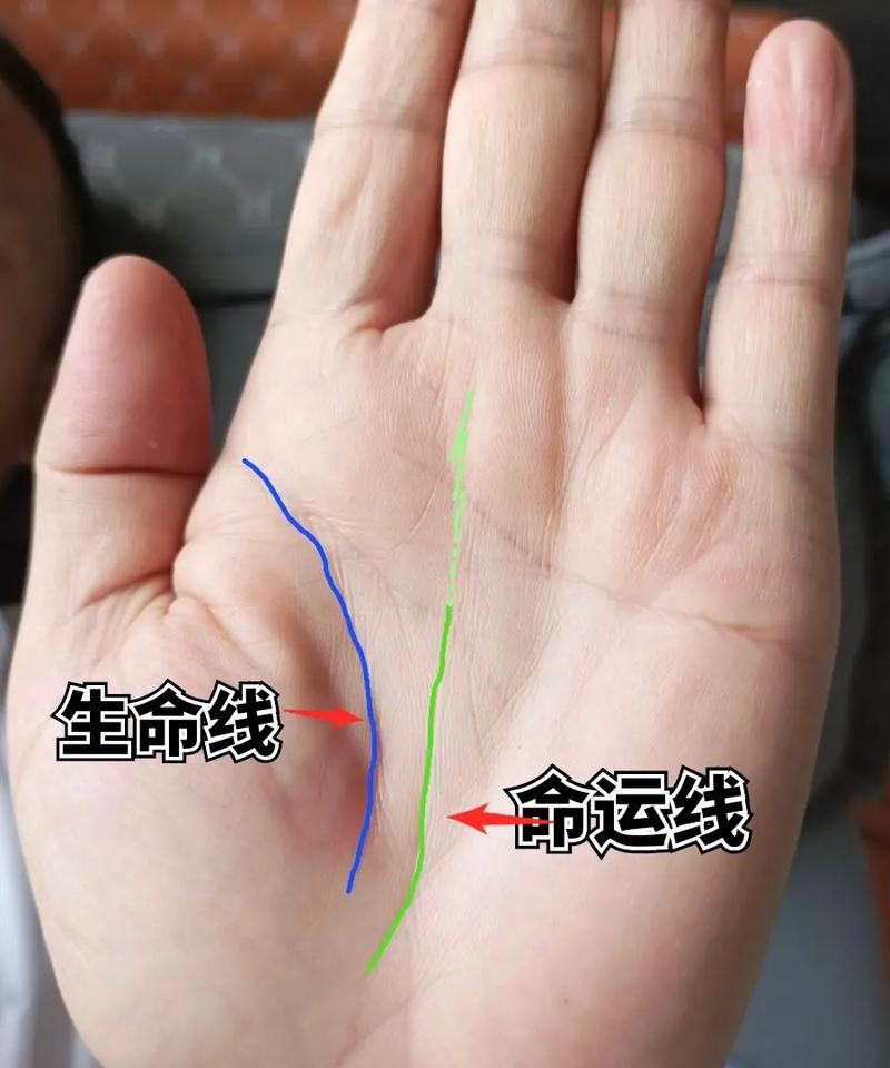 短命的人手相特征容易早死