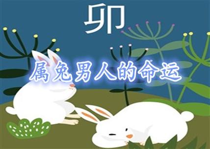 属兔的男人非常自私
