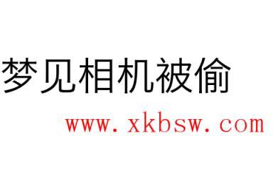 梦见相机被偷是什么意思