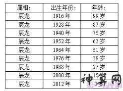 属龙什么时候会感觉暴露了年龄